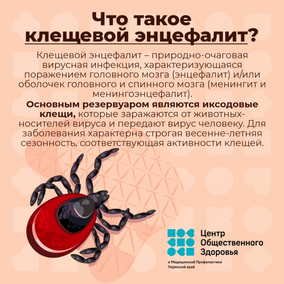 "Горячая линия" по профилактике клещевого энцефалита.